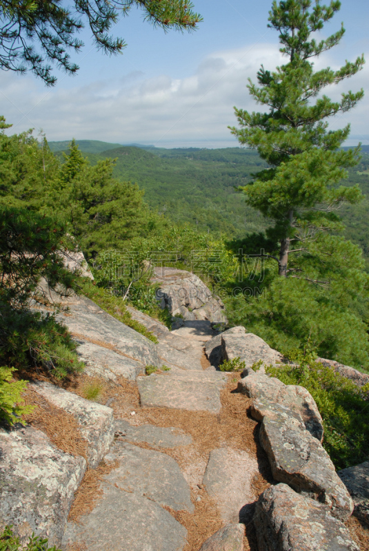 山,小路,自然美,卡迪拉克山,巴港,蒙特荒岛,拼块地形,垂直画幅,无人