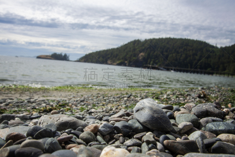 普吉特海湾,特写,海滩,热,安静,华盛顿州,纯净,清新,灰色,公园