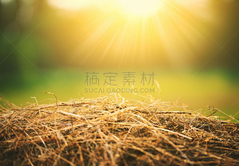 干草,夏天,稻草,自然,日光,背景,天空,褐色,水平画幅,纹理效果