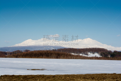 雪,春天,山脉,田地,山,贺卡,旭岳火山,云,日本落叶松,白桦树