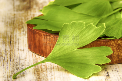 叶子,银杏树,银杏,心血管系统,手掌,心脏病专家,白色,木制