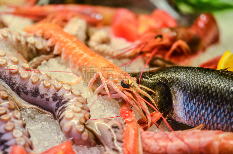 海产,清新,鱼类,餐具,格子烤肉,水平画幅,膳食,特写,西红柿,肉