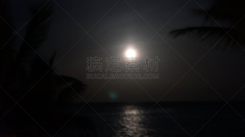 墨西哥,夏天,夜晚,爱库马尔,月亮,棕榈树,旅途,假日别墅,坎昆,户外