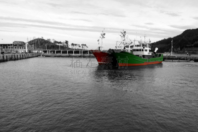 工业船,海港,两只动物,天空,莱凯蒂奥,水平画幅,地形,无人,户外,分离着色