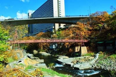 秋天,温泉,札幌,北海道,风景,黄色,红色,图像,叶子,足浴