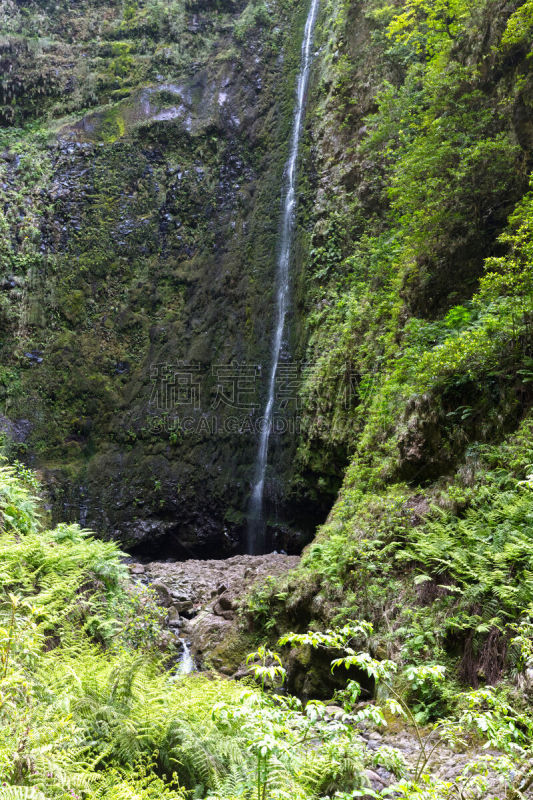 高处,秋天,马德拉群岛,马德拉,大西洋群岛,垂直画幅,水,沟壑,枝繁叶茂,瀑布