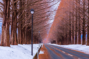 路,橙色,自然,风景,图像,雪,无人,里山,街道,户外