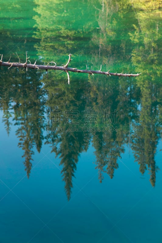 加拿大,地形,碧湖,湖,森林,自然,垂直画幅,阿尔伯塔省,无人,2015年