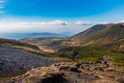 北海道,日本,徒步旅行,丘陵起伏地形,小路,女人,旭岳火山,大雪山国家公园,沟壑,自然