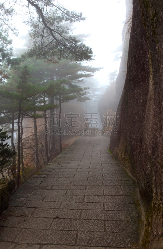 黄山山脉,自然,垂直画幅,松树,旅游目的地,地形,山,无人,全景,早晨