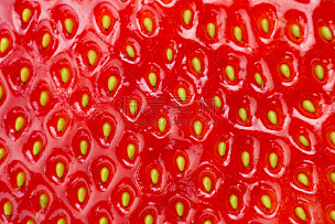草莓,大特写,特写,水果,红色,水平画幅,无人,有机食品,2015年,清新
