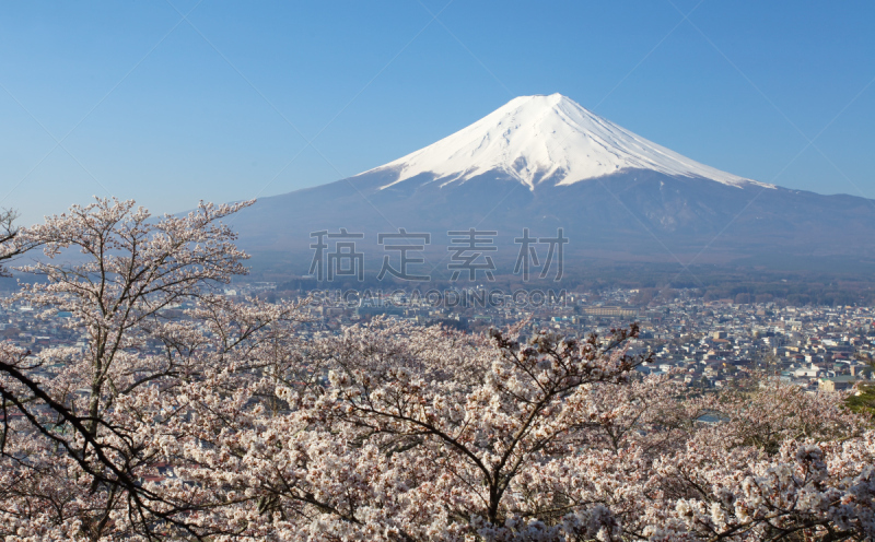 富士山,樱花,山,风景,樱之花,河口湖,天空,里山,水平画幅,雪