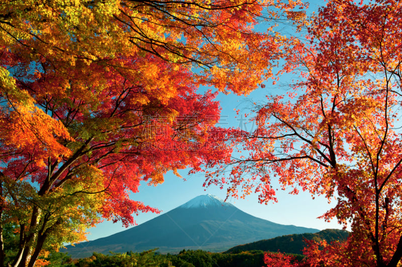 富士山,河口湖,山梨县,水平画幅,雪,无人,湖,冬天,山,著名景点