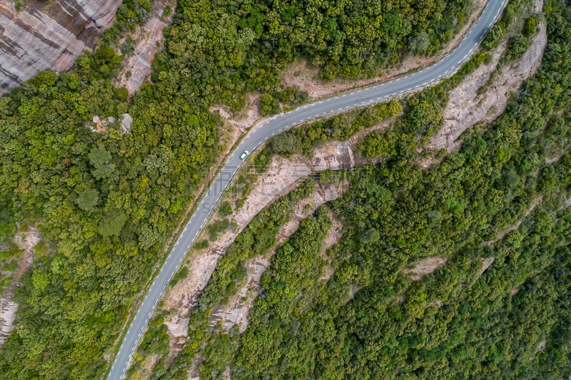 自然,路,与众不同,一只动物,看风景,无人机,汽车,驾车,树