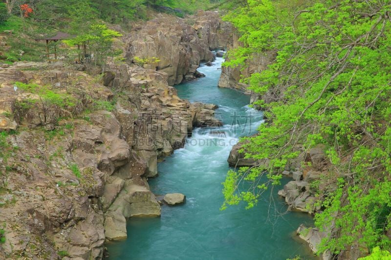 夏天,岩手县,山,小溪,旅途,著名自然景观,自然美,植物,河流,瀑布