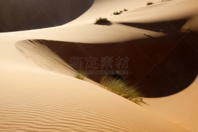 沙丘,撒哈拉沙漠,褐色,水平画幅,沙子,无人,平视角,Northern Sahara,夏天,阴影