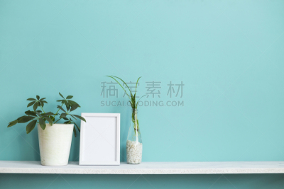 极简构图,白色,蜘蛛草,相框,架子,墙,青绿色,住宅房间,装饰,涉水