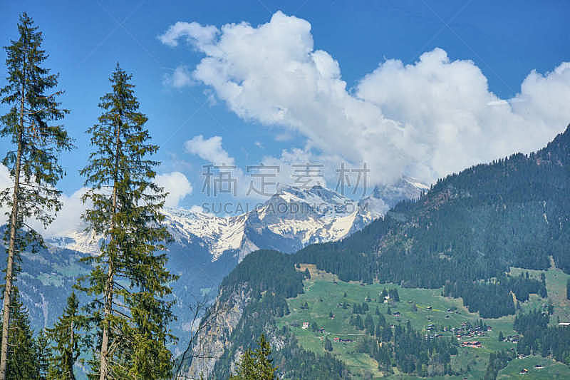 自然,瑞士,地形,户外,夏天,著名景点,自然美,宁静,旅游目的地,风景