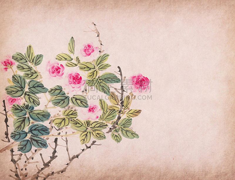 玫瑰,传统,水墨画,水彩画颜料,美术工艺,自然美,古典式,涂料,春天,中国