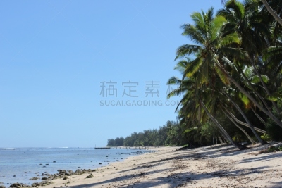 海滩,拉罗汤加岛,热,热带气候,海岸线,波浪,泻湖,热带树,夏天,户外