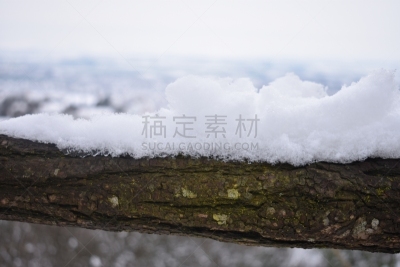 全景,美国,水平画幅,无人,城市天际线,户外,城市,航拍视角,滨水,都市风景