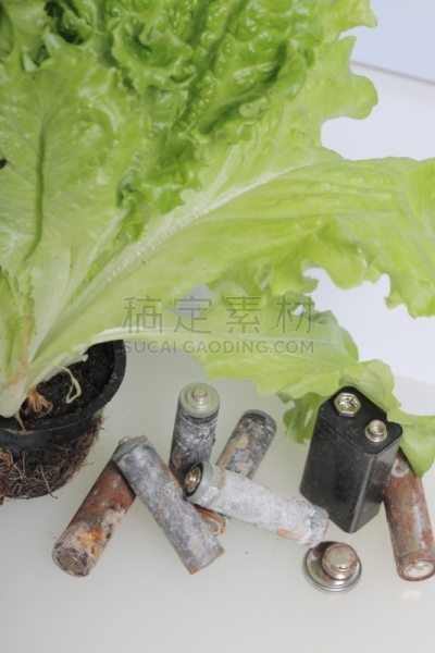 环境保护,电池,循环利用,锅,绿色,地球日,莴苣,活力,农业,有毒废物