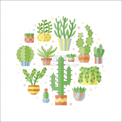 肉质植物,仙人掌,矢量,圆形,扁平化设计,食用仙人掌,仙人球,haworthia,景天科的,芦荟