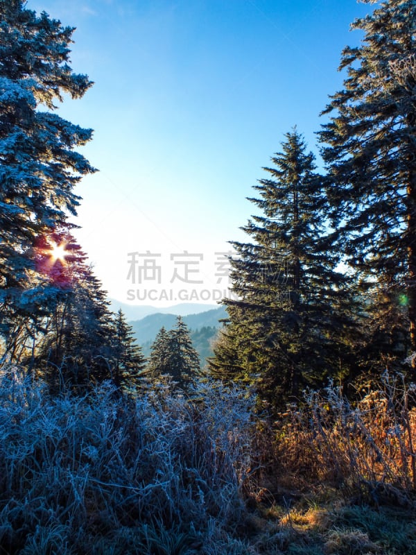 山,霜,clingman's dome,垂直画幅,天空,无人,户外,树林,白色,阳光光束