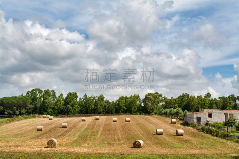 干草卷,田地,地形,葡萄酒,天空,美,葡萄酒厂,干草,水平画幅,山
