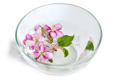 水,樱桃,清新,,苹果花,美,替代疗法,辅导讲座,芳香的,水平画幅