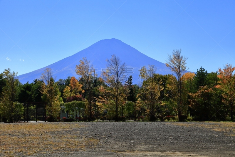 河口湖,富士山,芒草,富士河口湖,水平画幅,秋天,夜晚,无人,日本,早晨