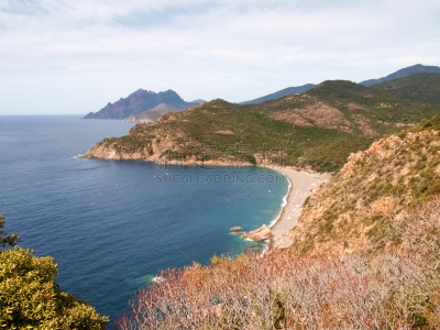 piana,蓝色的海湾,科西嘉,水,天空,水平画幅,无人,户外,海滩,山