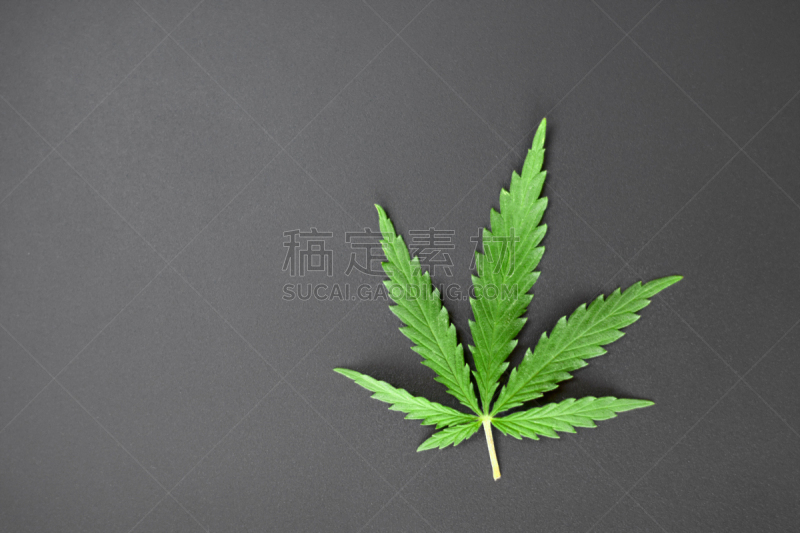 绿色,黑色,背景,健康保健,留白,叶子,文字,在上面,概念