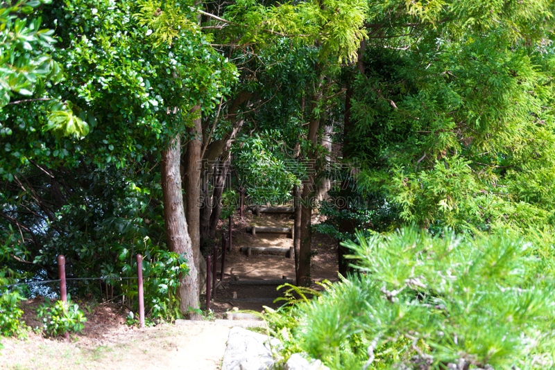 绿色,地形,水平画幅,枝繁叶茂,夏天,户外,著名自然景观,三重县,台阶楼梯