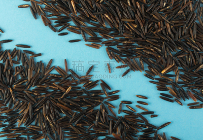 野生米,背景,纸,蓝色,黑色,生食,生物学,传统,素食,蔬菜