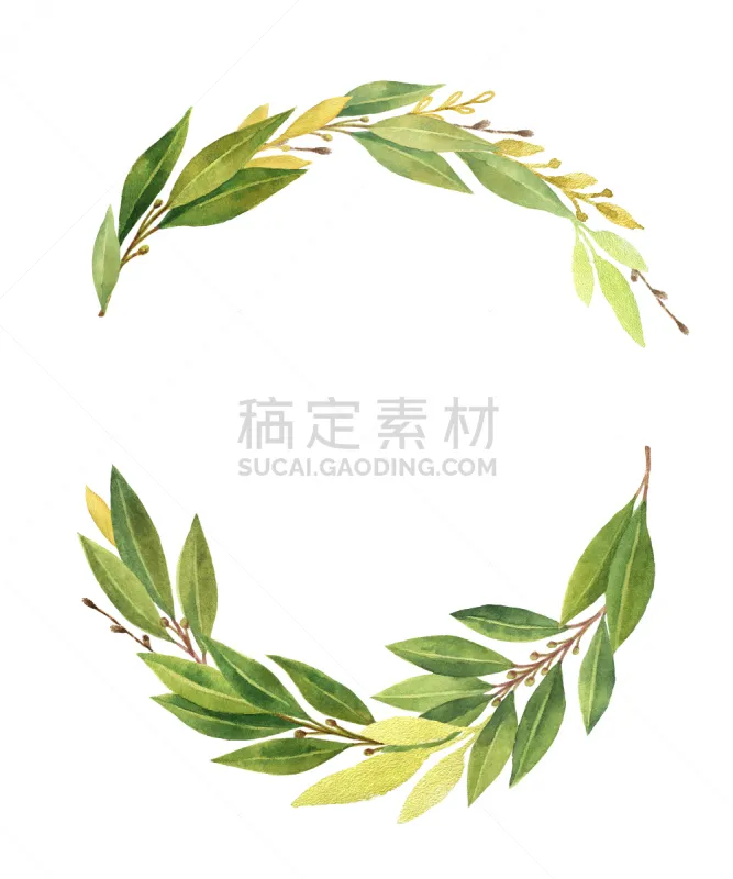 花环 分离着色 白色背景 月桂树叶 水彩画 希腊 枝繁叶茂 常绿植物 橄榄 枝图片素材下载 稿定素材 花环 分离着色 白色背景 月桂树叶 水彩画 希腊 枝繁叶茂 常绿植物 橄榄 枝图片素材下载 稿定素材