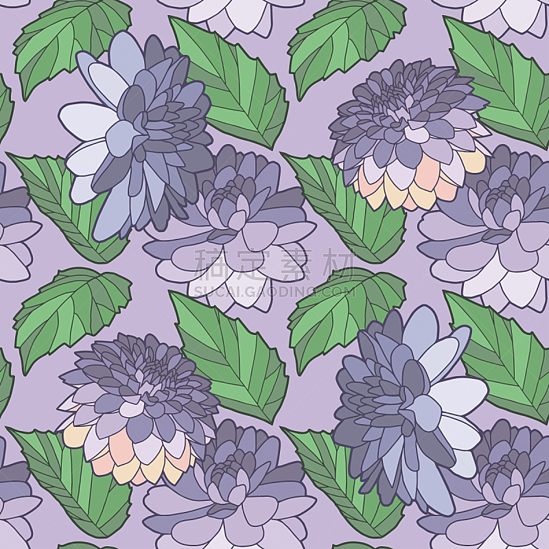 大丽花属,紫色,叶子,式样,紫色背景,插画,轻的,玫瑰,纺织品,浪漫