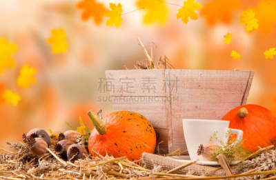 秋天,概念,心脏移植术,移植手术,盆栽,水平画幅,研磨食品,南瓜,泥土,户外