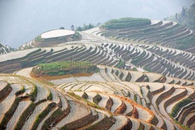 龙脊梯田,广西壮族自治区,梯田,稻,中国,壮族,瑶族,苗族,龙胜,阳朔