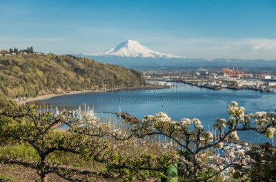 雷尼尔雪山,海港,全景,五只动物,塔可玛港,塔科马,自然,水,水平画幅,地形