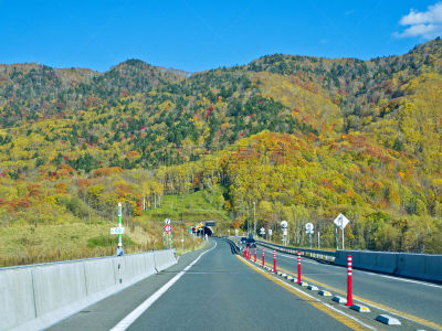 秋天,北海道,乡村路,季节,水平画幅,山,无人,田地,风景,公路隧道