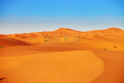 撒哈拉沙漠,沙丘,巴禅沙丘,莫鲁加,护送队,单峰骆驼,地名,水平画幅,山,沙子