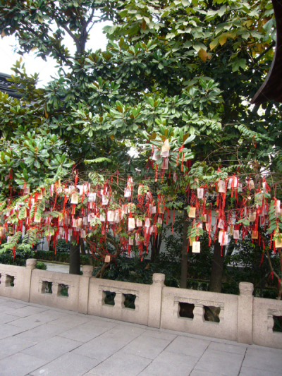 运气,孔子庙,垂直画幅,无人,亚洲,上海,树,摄影,祈祷