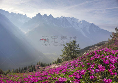 霞慕尼,杜鹃花属,阿尔卑斯山脉,山,田地,高崖跳伞,运动,法国,环境,奥地利