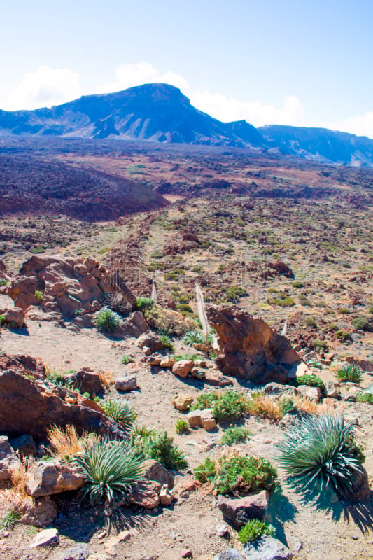 火山,风景,timanfaya national park,金丝雀,垂直画幅,褐色,气候,兰萨罗特岛,无人,大西洋群岛