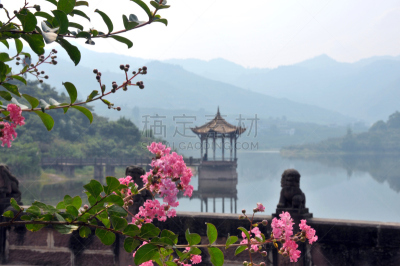 春天,成都,桃花,四川省,水,水平画幅,无人,户外,湖