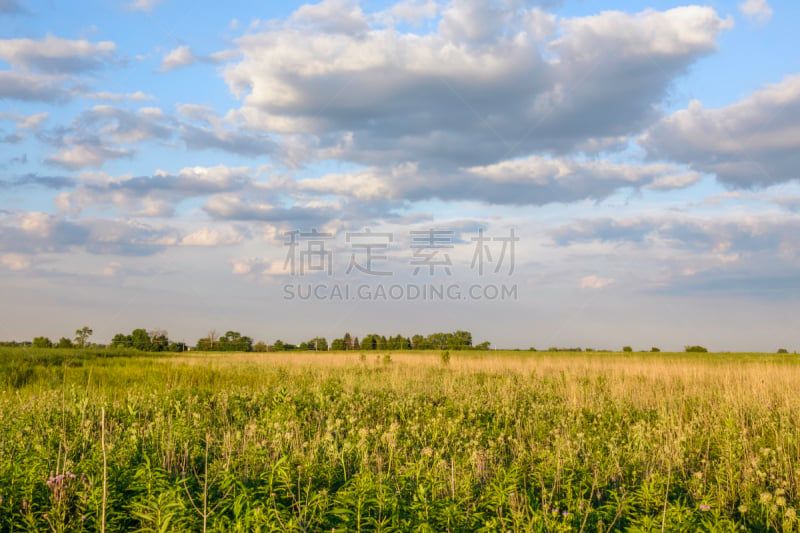 郊区,草原,夏天,天空,水平画幅,无人,纳波维尔,户外,北美,美国中西部地区