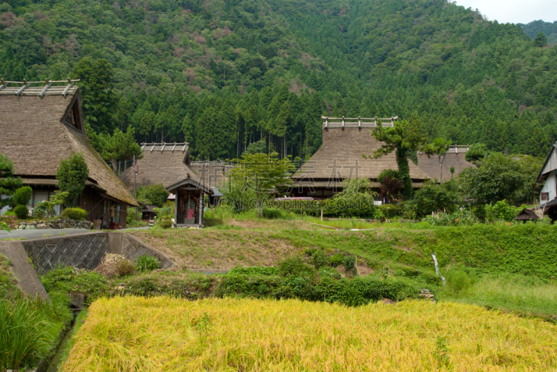 美山,茅屋屋顶,京都府,乡村,日本,美,里山,水平画幅,山,无人