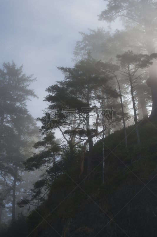 早晨,阳光光束,鲁比海滩,奥林匹克山,奥林匹克国家公园,垂直画幅,岩石,西雅图,无人,夏天