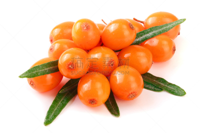 沙棘,浆果,熟的,叶子,大特写,分离着色,白色背景,清新,荆棘,白色